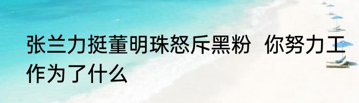 张兰力挺董明珠怒斥黑粉  你努力工作为了什么