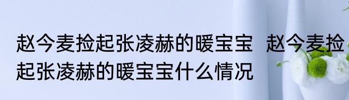 赵今麦捡起张凌赫的暖宝宝  赵今麦捡起张凌赫的暖宝宝什么情况