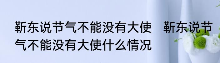 靳东说节气不能没有大使   靳东说节气不能没有大使什么情况