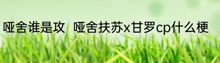 哑舍谁是攻  哑舍扶苏x甘罗cp什么梗