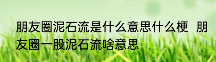 朋友圈泥石流是什么意思什么梗  朋友圈一股泥石流啥意思