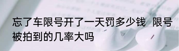 忘了车限号开了一天罚多少钱  限号被拍到的几率大吗