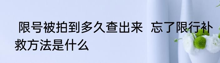  限号被拍到多久查出来  忘了限行补救方法是什么