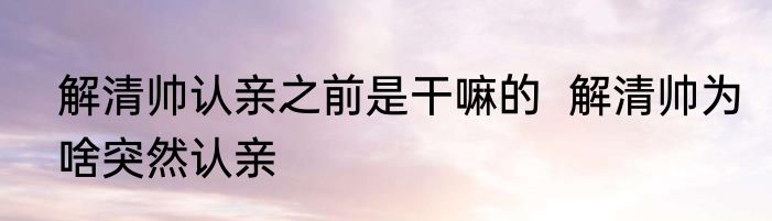 解清帅认亲之前是干嘛的  解清帅为啥突然认亲