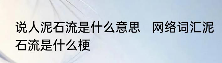 说人泥石流是什么意思   网络词汇泥石流是什么梗