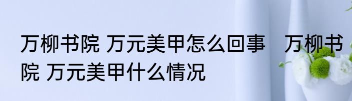 万柳书院 万元美甲怎么回事   万柳书院 万元美甲什么情况