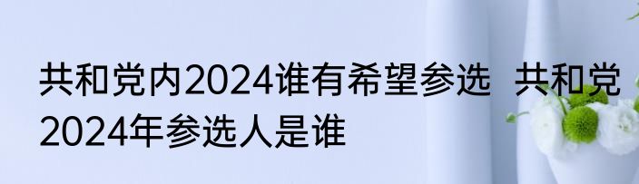 共和党内2024谁有希望参选  共和党2024年参选人是谁