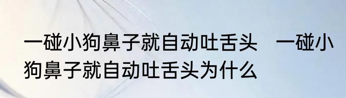 一碰小狗鼻子就自动吐舌头   一碰小狗鼻子就自动吐舌头为什么