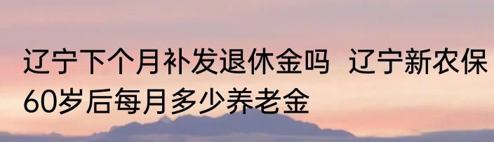 辽宁下个月补发退休金吗  辽宁新农保60岁后每月多少养老金