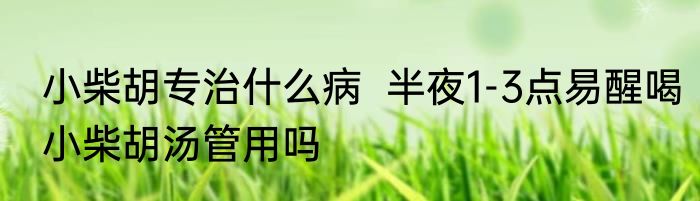 小柴胡专治什么病  半夜1-3点易醒喝小柴胡汤管用吗