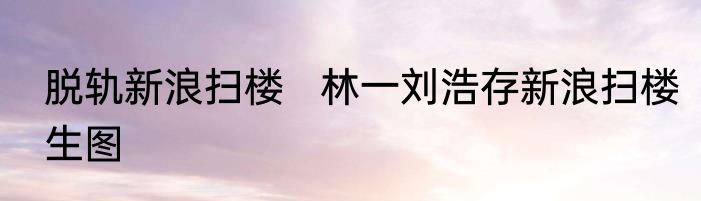 脱轨新浪扫楼   林一刘浩存新浪扫楼生图