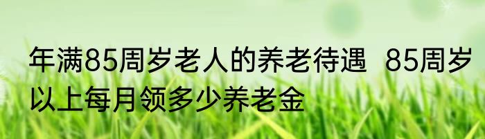 年满85周岁老人的养老待遇  85周岁以上每月领多少养老金