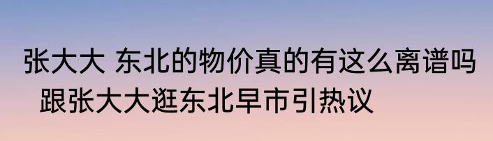 张大大 东北的物价真的有这么离谱吗   跟张大大逛东北早市引热议