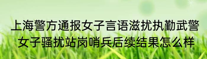上海警方通报女子言语滋扰执勤武警   女子骚扰站岗哨兵后续结果怎么样 