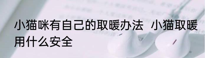 小猫咪有自己的取暖办法  小猫取暖用什么安全