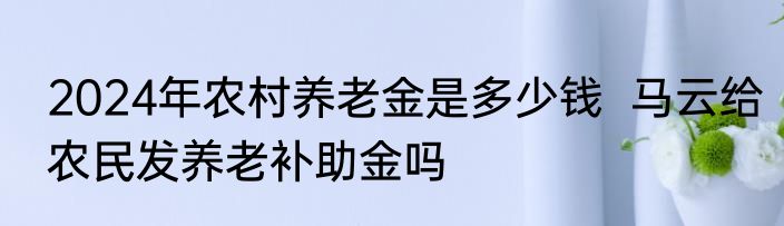 2024年农村养老金是多少钱  马云给农民发养老补助金吗