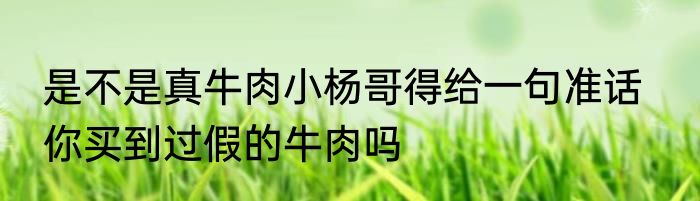 是不是真牛肉小杨哥得给一句准话   你买到过假的牛肉吗