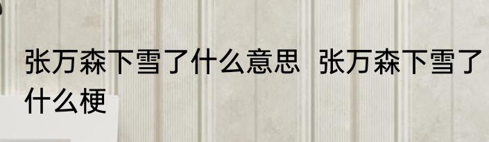 张万森下雪了什么意思  张万森下雪了什么梗