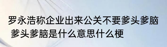 罗永浩称企业出来公关不要爹头爹脑   爹头爹脑是什么意思什么梗