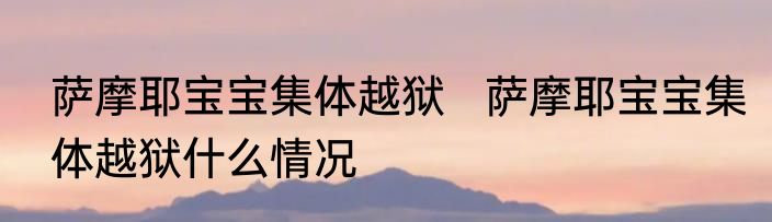 萨摩耶宝宝集体越狱   萨摩耶宝宝集体越狱什么情况