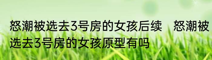 怒潮被选去3号房的女孩后续   怒潮被选去3号房的女孩原型有吗