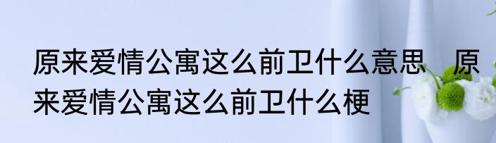 原来爱情公寓这么前卫什么意思   原来爱情公寓这么前卫什么梗