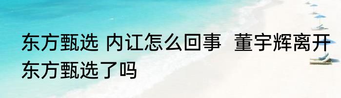 东方甄选 内讧怎么回事  董宇辉离开东方甄选了吗