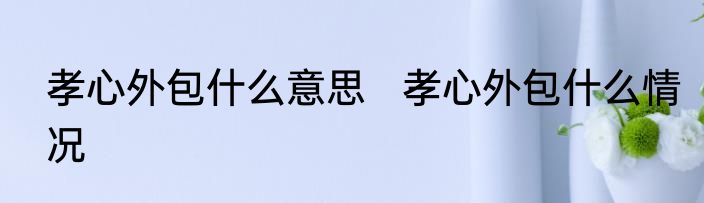 孝心外包什么意思   孝心外包什么情况