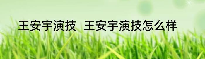 王安宇演技  王安宇演技怎么样