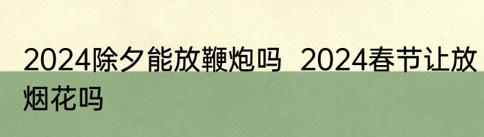 2024除夕能放鞭炮吗  2024春节让放烟花吗