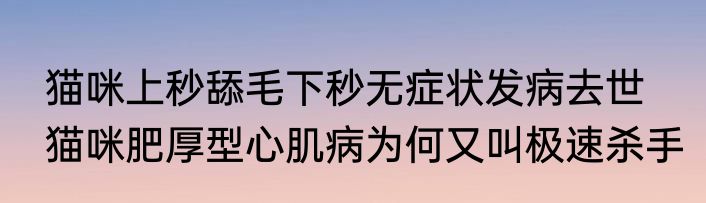 猫咪上秒舔毛下秒无症状发病去世   猫咪肥厚型心肌病为何又叫极速杀手