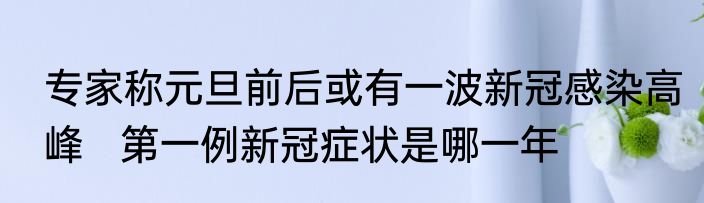 专家称元旦前后或有一波新冠感染高峰   第一例新冠症状是哪一年