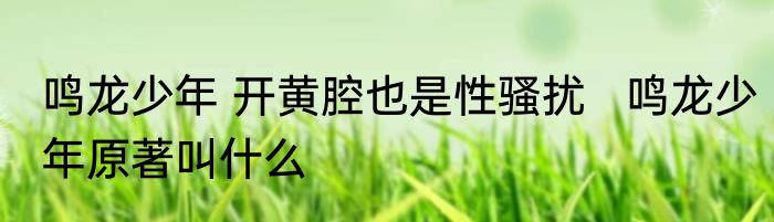 鸣龙少年 开黄腔也是性骚扰   鸣龙少年原著叫什么