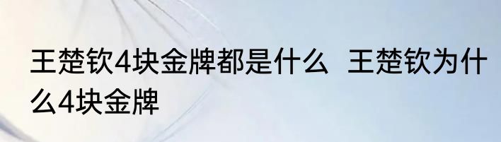 王楚钦4块金牌都是什么  王楚钦为什么4块金牌