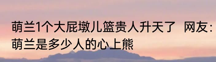 萌兰1个大屁墩儿篮贵人升天了  网友：萌兰是多少人的心上熊