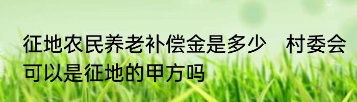 征地农民养老补偿金是多少   村委会可以是征地的甲方吗