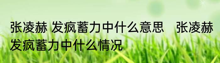张凌赫 发疯蓄力中什么意思   张凌赫 发疯蓄力中什么情况