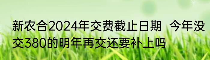 新农合2024年交费截止日期  今年没交380的明年再交还要补上吗