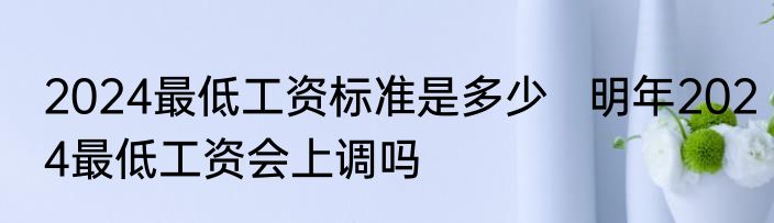 2024最低工资标准是多少   明年2024最低工资会上调吗