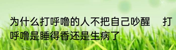 为什么打呼噜的人不把自己吵醒    打呼噜是睡得香还是生病了