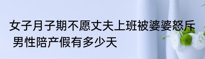 女子月子期不愿丈夫上班被婆婆怒斥   男性陪产假有多少天
