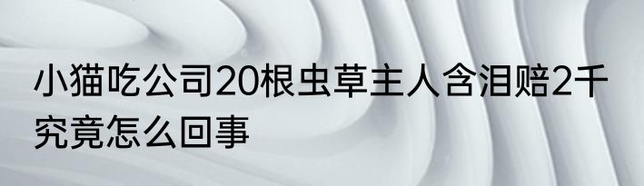 小猫吃公司20根虫草主人含泪赔2千  究竟怎么回事