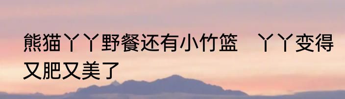 熊猫丫丫野餐还有小竹篮   丫丫变得又肥又美了