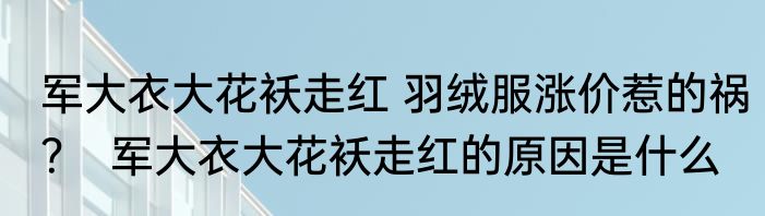 军大衣大花袄走红 羽绒服涨价惹的祸？  军大衣大花袄走红的原因是什么