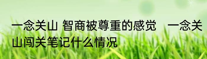 一念关山 智商被尊重的感觉   一念关山闯关笔记什么情况