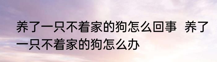 养了一只不着家的狗怎么回事  	养了一只不着家的狗怎么办