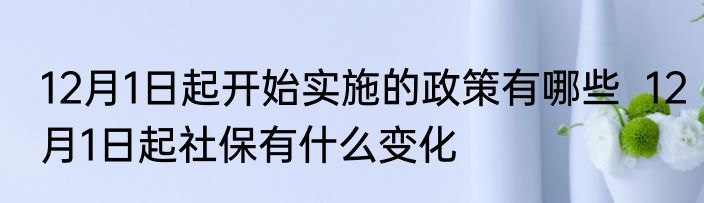 12月1日起开始实施的政策有哪些  12月1日起社保有什么变化