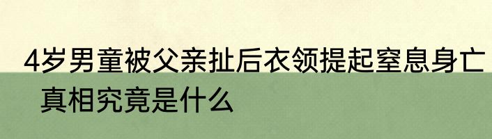 4岁男童被父亲扯后衣领提起窒息身亡  真相究竟是什么
