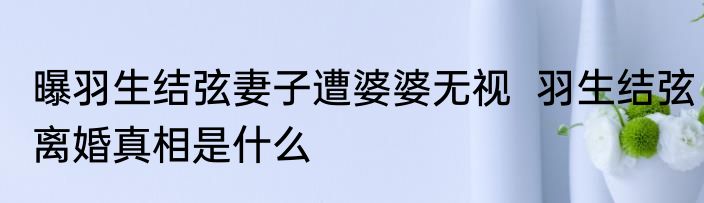曝羽生结弦妻子遭婆婆无视  羽生结弦离婚真相是什么