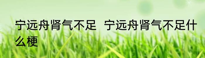 宁远舟肾气不足  	宁远舟肾气不足什么梗